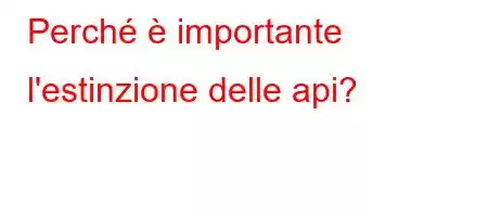 Perché è importante l'estinzione delle api