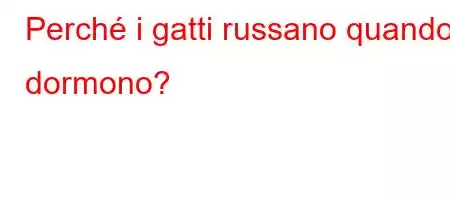 Perché i gatti russano quando dormono