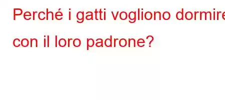 Perché i gatti vogliono dormire con il loro padrone?