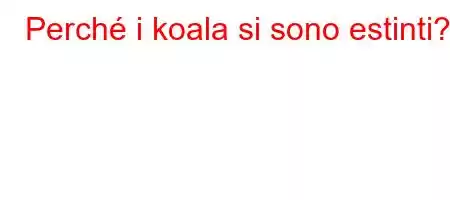 Perché i koala si sono estinti?