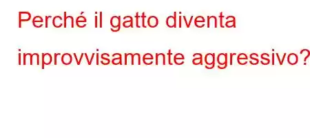 Perché il gatto diventa improvvisamente aggressivo?