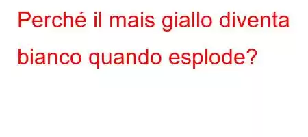 Perché il mais giallo diventa bianco quando esplode?