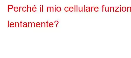 Perché il mio cellulare funziona lentamente