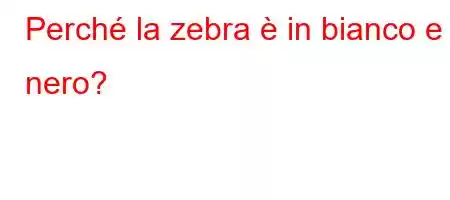 Perché la zebra è in bianco e nero?