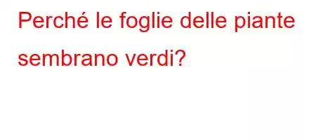 Perché le foglie delle piante sembrano verdi?