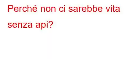 Perché non ci sarebbe vita senza api?