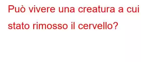 Può vivere una creatura a cui è stato rimosso il cervello