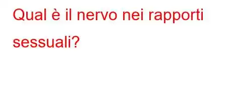 Qual è il nervo nei rapporti sessuali