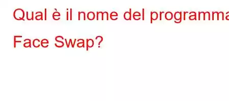 Qual è il nome del programma Face Swap?