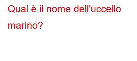 Qual è il nome dell'uccello marino