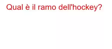 Qual è il ramo dell'hockey?