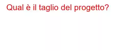 Qual è il taglio del progetto?