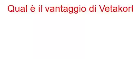 Qual è il vantaggio di Vetakort