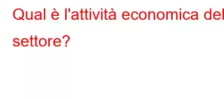 Qual è l'attività economica del settore