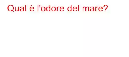 Qual è l'odore del mare?