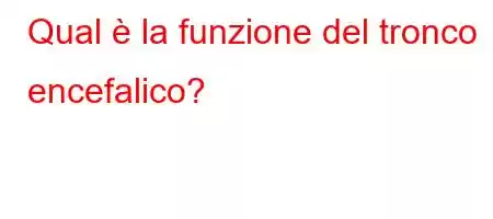 Qual è la funzione del tronco encefalico