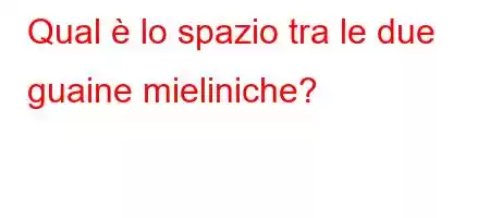 Qual è lo spazio tra le due guaine mieliniche?