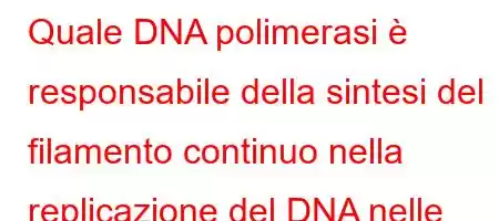 Quale DNA polimerasi è responsabile della sintesi del filamento continuo nella replicazione del DNA nelle cellule eucariotiche?