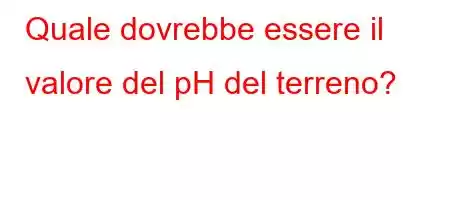 Quale dovrebbe essere il valore del pH del terreno