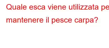 Quale esca viene utilizzata per mantenere il pesce carpa