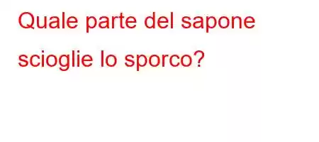 Quale parte del sapone scioglie lo sporco