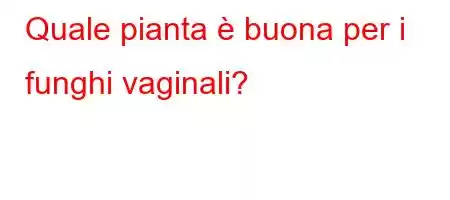 Quale pianta è buona per i funghi vaginali?