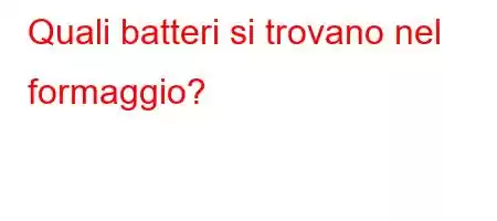 Quali batteri si trovano nel formaggio