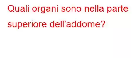 Quali organi sono nella parte superiore dell'addome?