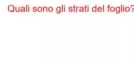 Quali sono gli strati del foglio