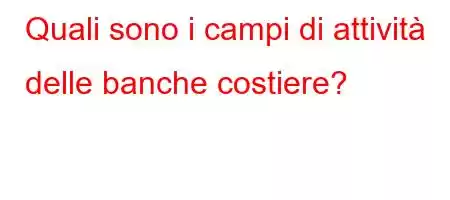 Quali sono i campi di attività delle banche costiere