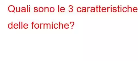 Quali sono le 3 caratteristiche delle formiche?