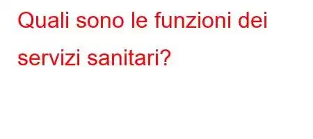 Quali sono le funzioni dei servizi sanitari?