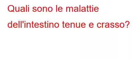 Quali sono le malattie dell'intestino tenue e crasso?