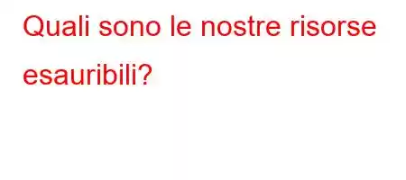 Quali sono le nostre risorse esauribili?