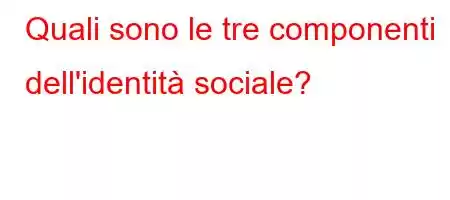 Quali sono le tre componenti dell'identità sociale?