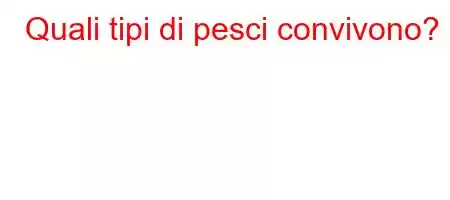 Quali tipi di pesci convivono