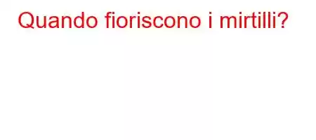 Quando fioriscono i mirtilli?