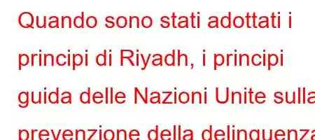 Quando sono stati adottati i principi di Riyadh, i principi guida delle Nazioni Unite sulla prevenzione della delinquenza giovanile