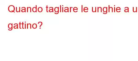 Quando tagliare le unghie a un gattino