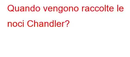 Quando vengono raccolte le noci Chandler?