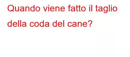 Quando viene fatto il taglio della coda del cane?