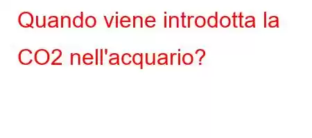 Quando viene introdotta la CO2 nell'acquario