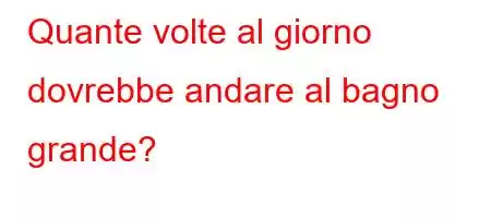 Quante volte al giorno dovrebbe andare al bagno grande?