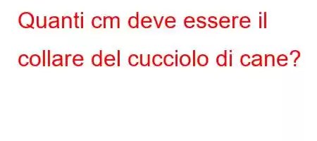 Quanti cm deve essere il collare del cucciolo di cane