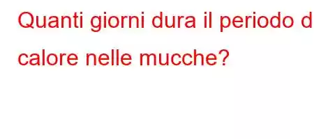 Quanti giorni dura il periodo di calore nelle mucche?