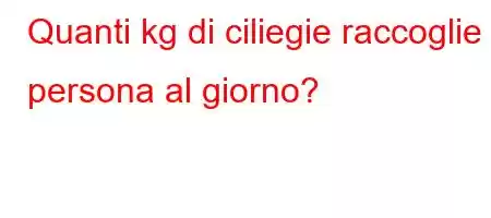 Quanti kg di ciliegie raccoglie 1 persona al giorno?