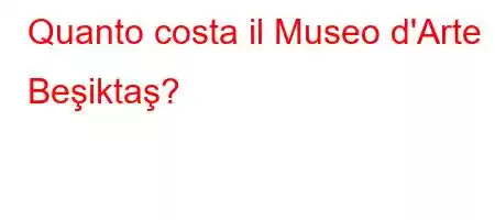 Quanto costa il Museo d'Arte Beşiktaş?