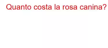 Quanto costa la rosa canina?