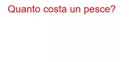 Quanto costa un pesce?