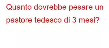 Quanto dovrebbe pesare un pastore tedesco di 3 mesi?